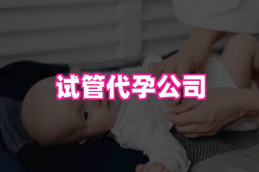 合肥助孕网站 2