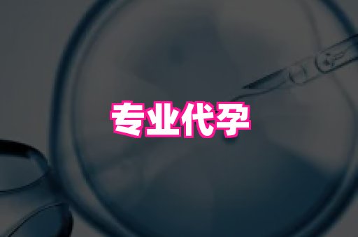 合肥助孕网站 3